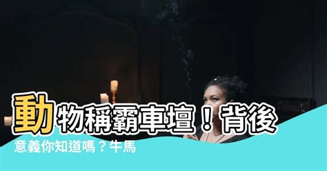 牛馬蛙意思|牛馬蛙是什麼意思？深入解析及其文化背景